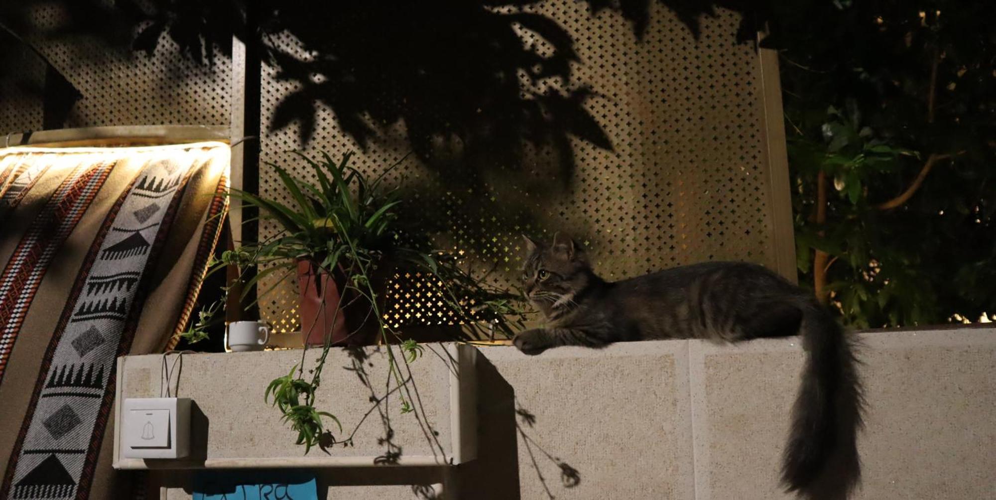 Extra Traveller Hostel Άκαμπα Εξωτερικό φωτογραφία
